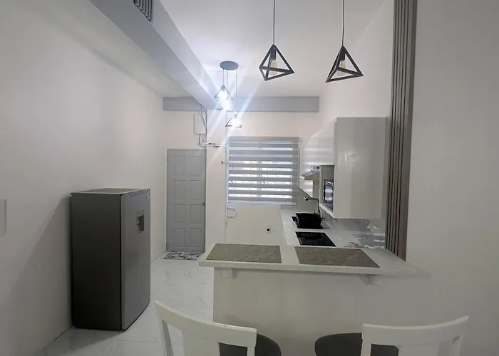 Modern Apartment Near Queens Park Savannah
